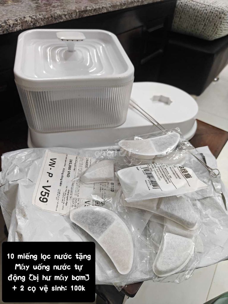 Lõi lọc nước cho thú cưng. Mua bán Phụ kiện, Thức ăn, Dịch vụ tại Quận Bình Thuỷ Cần Thơ được đăng bởi Ella Lương hình 1