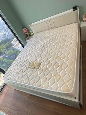 Nệm Vạn Thành Queen Foam dày 20cm, 1m6x2m. Mua bán Giường, chăn ga gối nệm tại Quận 7 Tp Hồ Chí Minh được đăng bởi Ngân