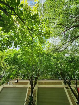 NHÀ PHỐ KDC LỘC VỪNG GẦN VẠN PHÚC