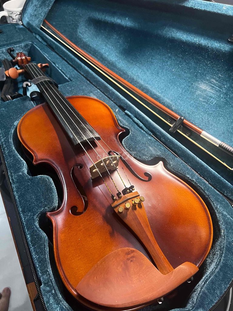 Đàn Violin cho người mới bắt đầu