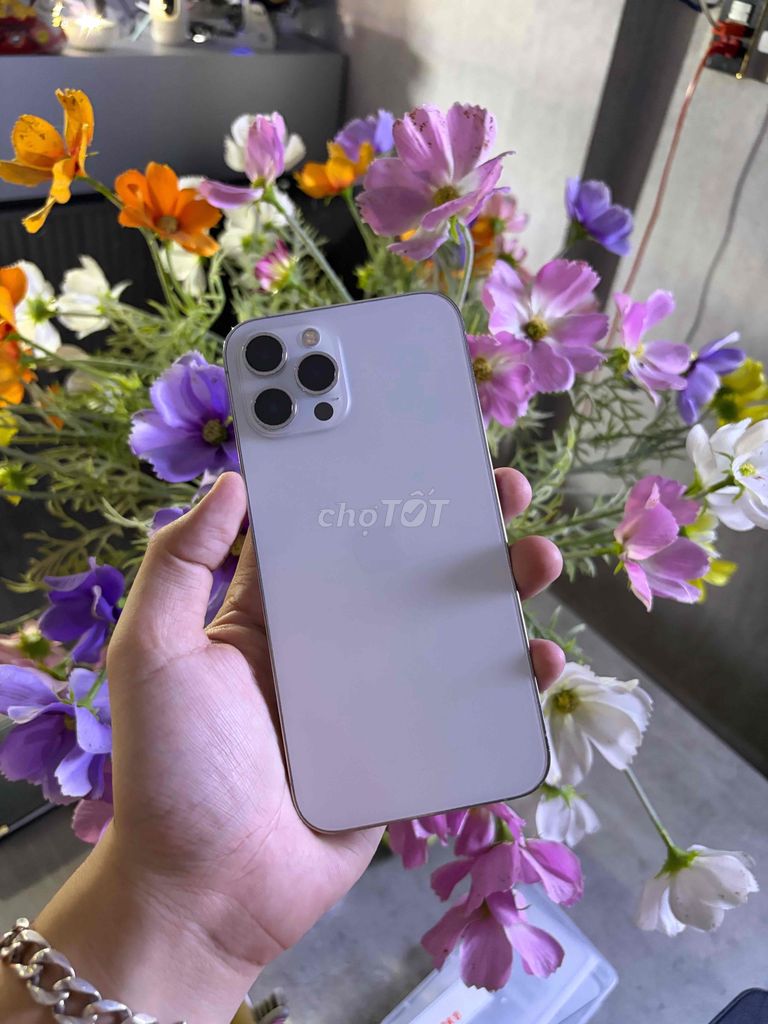 iPhone 12 Pro Max Zin Chuẩn🍎CÓ TRẢ GÓP. Mua bán Điện thoại tại Quận Thanh Khê Đà Nẵng được đăng bởi HD STORE hình 1