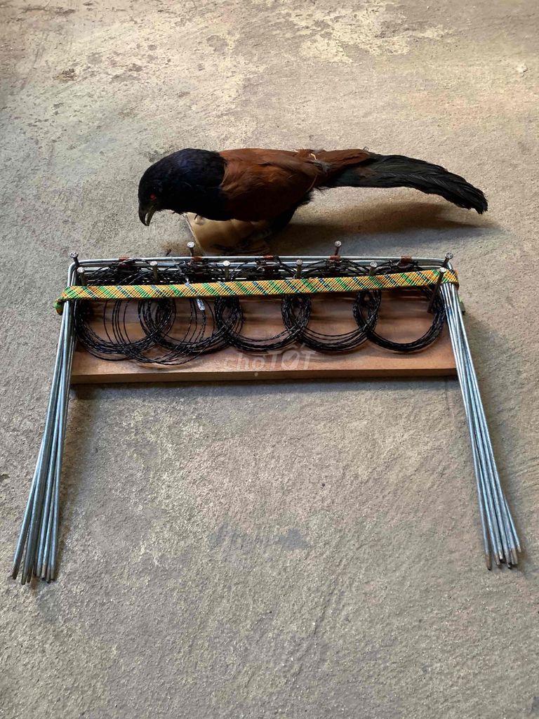 thòng bẫy đa năng.. Mua bán Phụ kiện, Thức ăn, Dịch vụ tại Thành phố Tây Ninh Tây Ninh được đăng bởi Dương hình 1