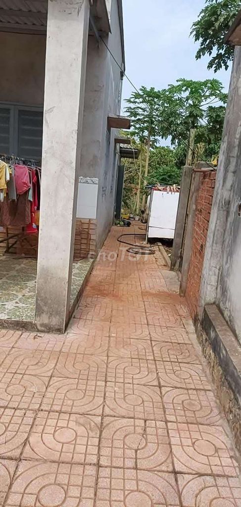 Nha nguyen can cho thue. Cho thuê Nhà ở tại Huyện Xuyên Mộc Bà Rịa - Vũng Tàu được đăng bởi Long nguyen  hình 12