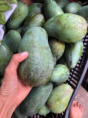 Xoài đeo (xoài Miên) miễn ship. Mua bán Đồ ăn, thực phẩm và các loại khác tại Quận Gò Vấp Tp Hồ Chí Minh được đăng bởi Chị Tư