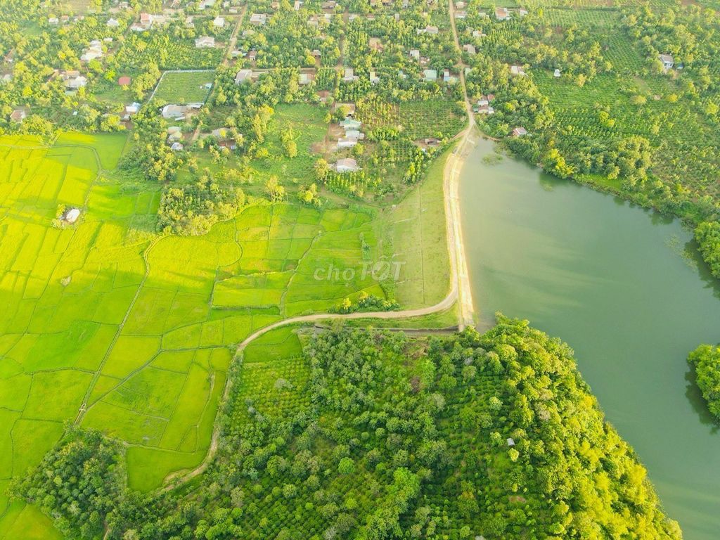 🌿 SỞ HỮU QUẢ ĐỒI VIEW TRIỆU ĐÔ  – CHÍNH CHỦ 🌿