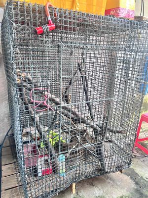 chuồng gà. Mua bán Phụ kiện, Thức ăn, Dịch vụ tại Quận Ninh Kiều Cần Thơ được đăng bởi Tâm Định Vị Gps