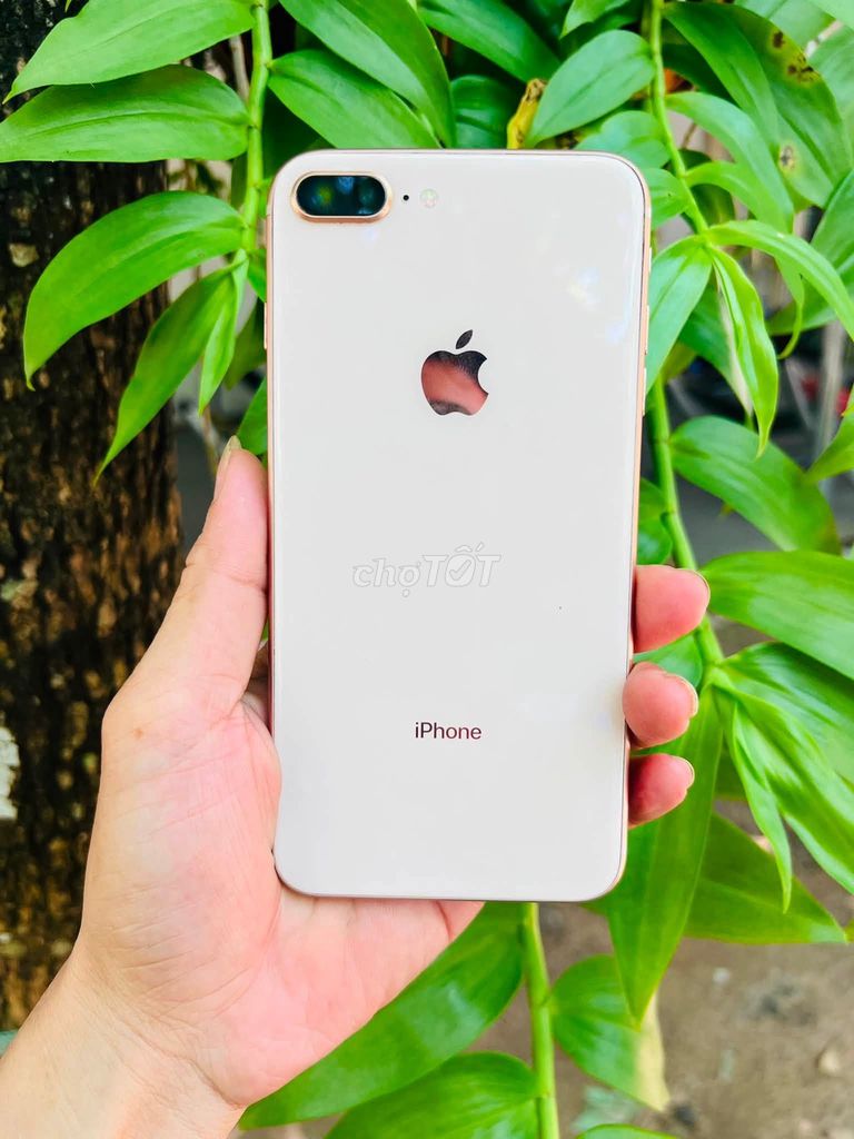 Apple iPhone 8 Plus 64GB Vàng hồng Like New. Mua bán Điện thoại tại Quận 10 Tp Hồ Chí Minh được đăng bởi Hội Đồ Điện Tử hình 1
