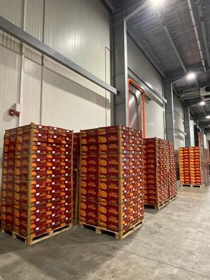 TUYỂN 2 NHÂN VIÊN GIAO HÀNG XE MÁY. Việc làm tại Quận Phú Nhuận Tp Hồ Chí Minh được đăng bởi TUYỂN DỤNG VIETTROPFRUIT