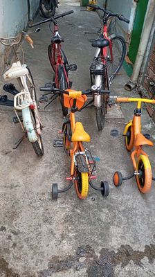 Xe đạp đa màu. Mua bán Xe đạp tại Quận Tân Bình Tp Hồ Chí Minh được đăng bởi trần đạo 