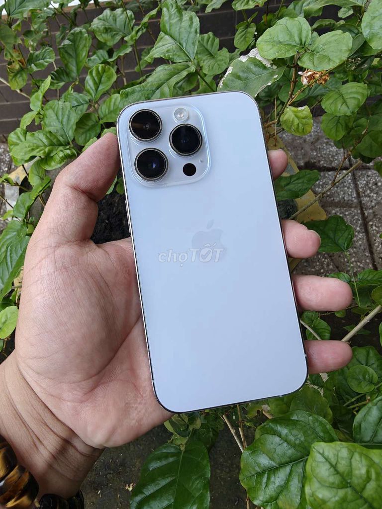 14 pro zin quốc tế. Mua bán Điện thoại tại Huyện Châu Thành Sóc Trăng được đăng bởi Nhựt Trang hình 1