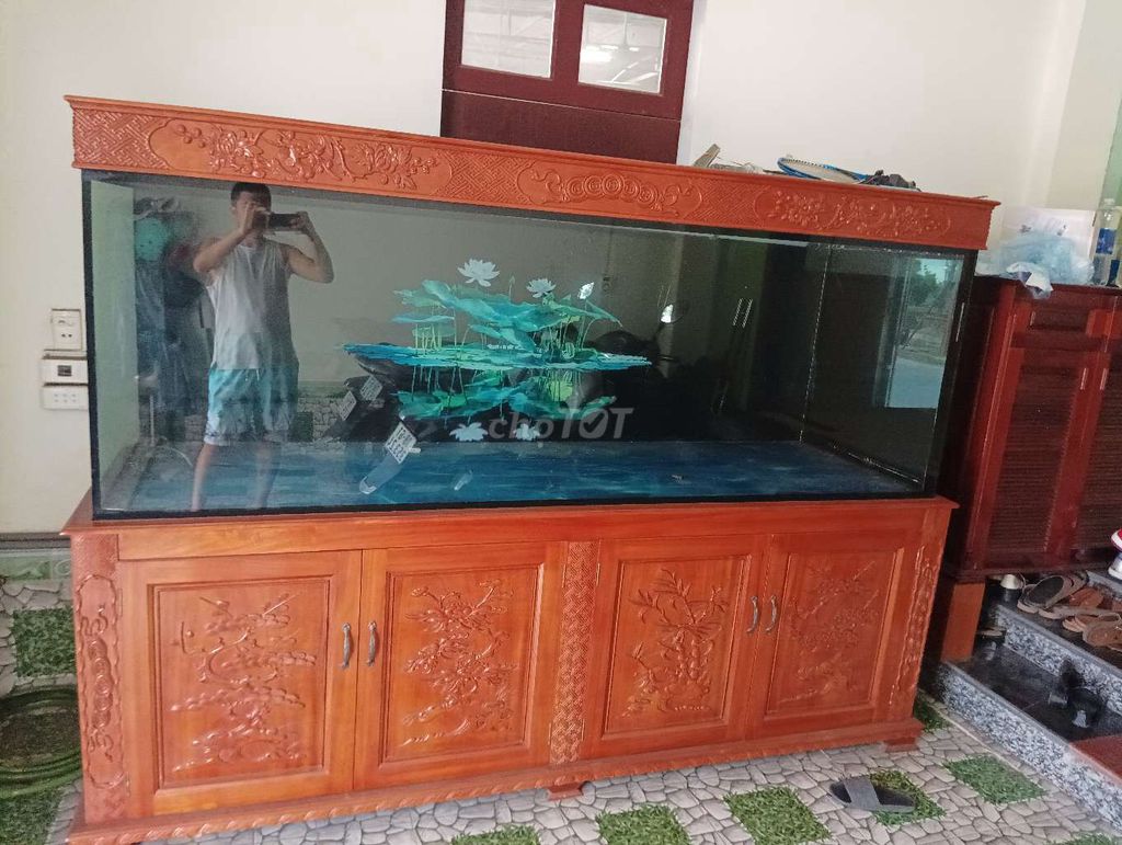 Bể cá cảnh Gỗ Kính. Mua bán Phụ kiện, Thức ăn, Dịch vụ tại Huyện Giao Thủy Nam Định được đăng bởi trần ngọc toàn.  hình 1