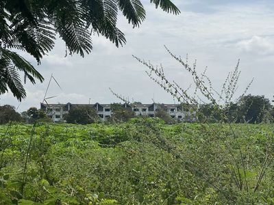 chính chủ bán đất nền Nhơn Trạch