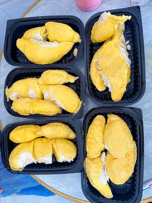 sầu riêng ri 6 musaking giá yêu thương. Mua bán Đồ ăn, thực phẩm và các loại khác tại Quận Bình Thạnh Tp Hồ Chí Minh được đăng bởi Hoài Anh