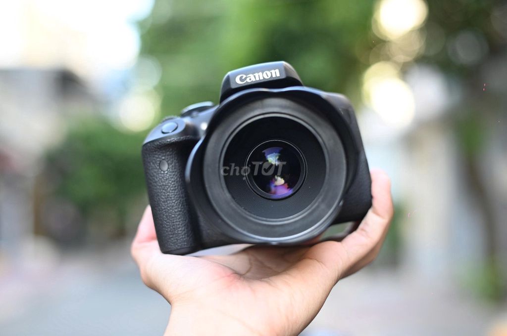 Máy ảnh Canon EOS 750D + Yongnuo YN 50mm f/1.8 II. Mua bán Máy ảnh, Máy quay tại Quận Gò Vấp Tp Hồ Chí Minh được đăng bởi Chính Nguyễn hình 1