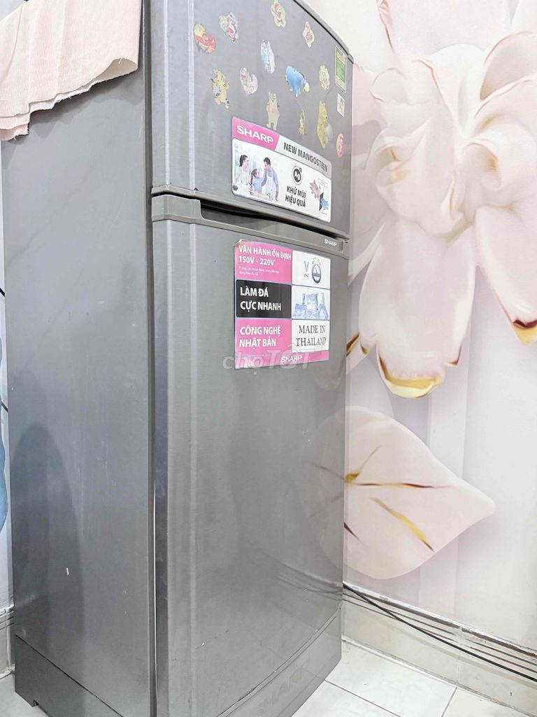 Tủ lạnh Sharp 180L Thái Lan Xám 4 sao k đóng tuyết. Mua bán Tủ lạnh tại Quận Gò Vấp Tp Hồ Chí Minh được đăng bởi Ngọc Tiên hình 1
