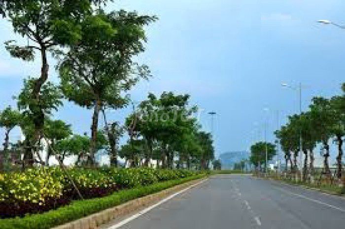 BÁN 650m MẶT TIỀN MAI ĐĂNG CHƠN SÁT LÀNG ĐẠI HỌC|PHÙ HỢP XÂY CĂN HỘ