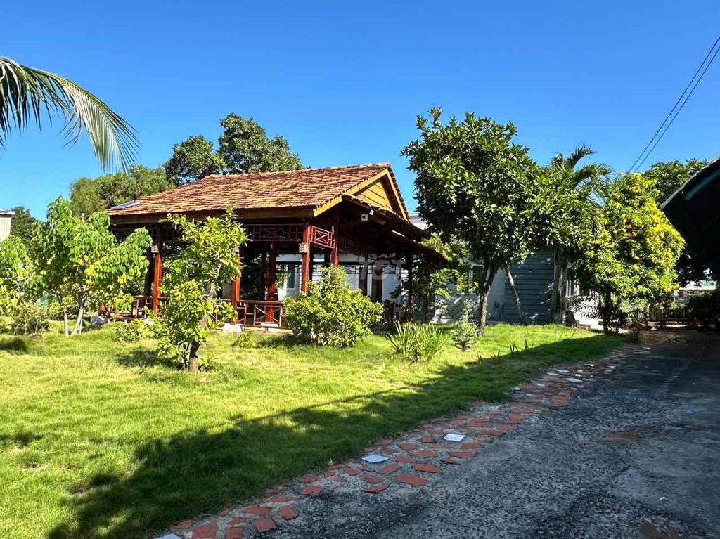 Cho thuê homestay mặt tiền đường Nguyễn Thông, Phan Thiết. Giá 25tr/th