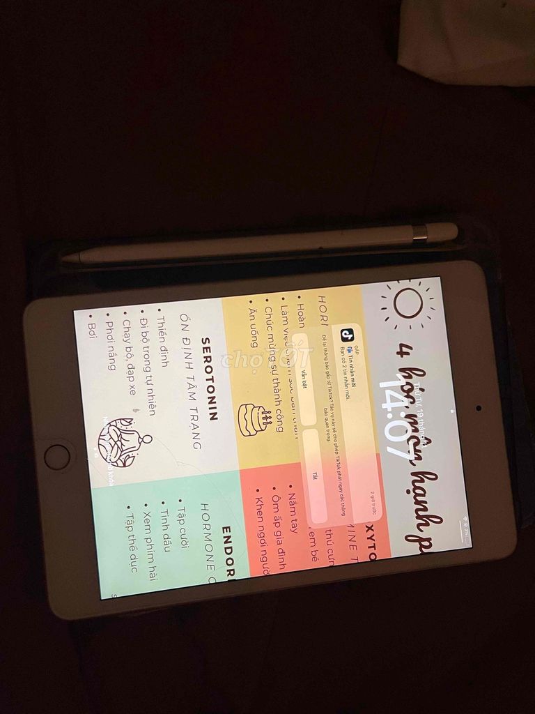 Ipad Mini 5 64GB 3tr5. Mua bán Máy tính bảng tại Quận Nam Từ Liêm Hà Nội được đăng bởi Vi Thanh hình 1