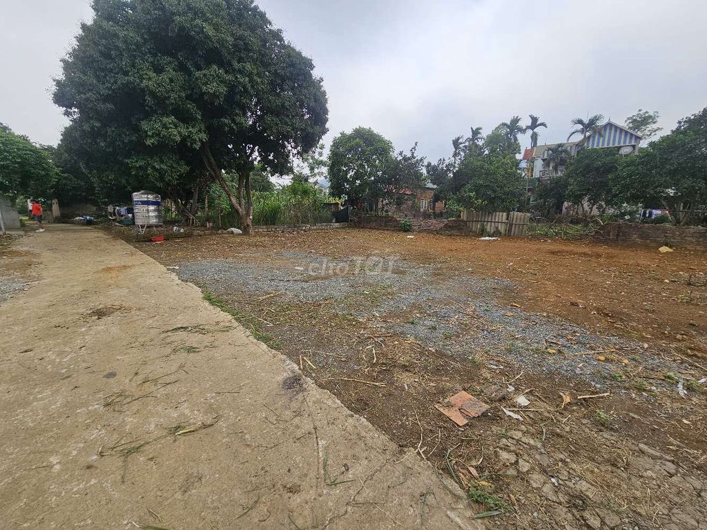 CẦN BÁN 150M2 MẶT ĐƯỜNG TRÁN VOI, PHÚ MÃN QUỐC OAI, HÀ NỘI. Mua bán đất tại Huyện Quốc Oai Hà Nội được đăng bởi Thien nghiem Le hình 4