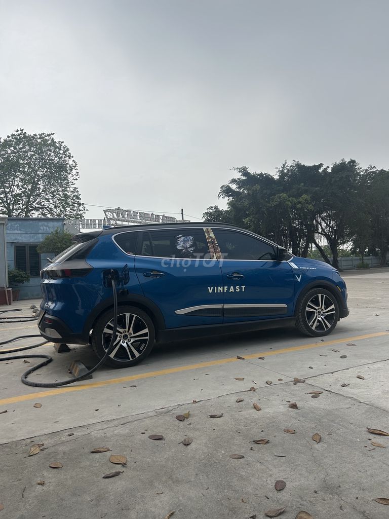 Ảnh số 7
