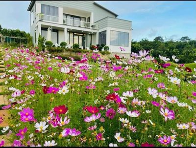 nhà biệt thự vườn 6000m2 thuộc khu phát triển du lịch nghỉ dưỡng. Mua bán Nhà ở tại Huyện Lâm Hà Lâm Đồng được đăng bởi tâm