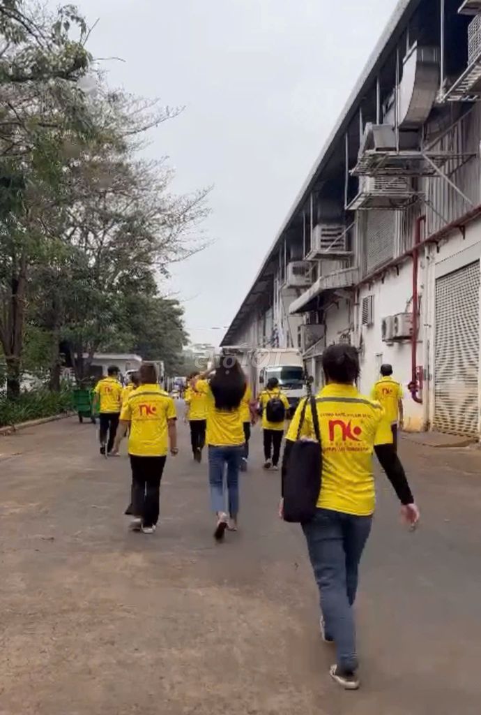 50 LĐPT LÀM Ở KCN YÊN NGHĨA - ĐƯỢC ỨNG LƯƠNG. Việc làm tại Quận Hà Đông Hà Nội được đăng bởi CÔNG TY CUNG ỨNG NHÂN LƯC NHÂN KIỆT hình 3