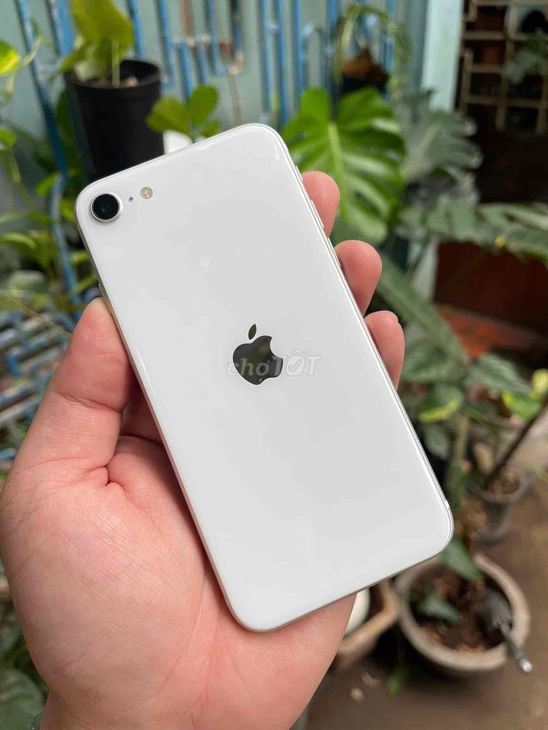Apple iPhone SE 2020 64GB Trắng. Mua bán Điện thoại tại Thành phố Biên Hòa Đồng Nai được đăng bởi TH MOBILE hình 1