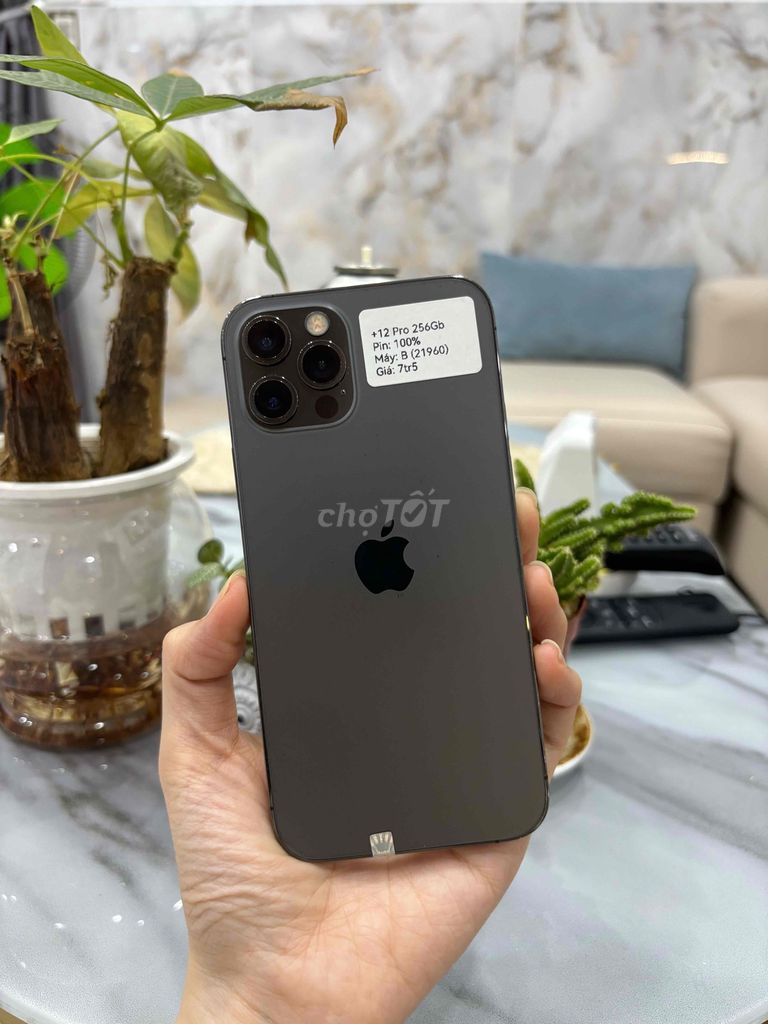 iPhone 12 Pro 256GB Xám đen Đã sử dụng. Mua bán Điện thoại tại Huyện Hóc Môn Tp Hồ Chí Minh được đăng bởi SIRI STORE HCM hình 1