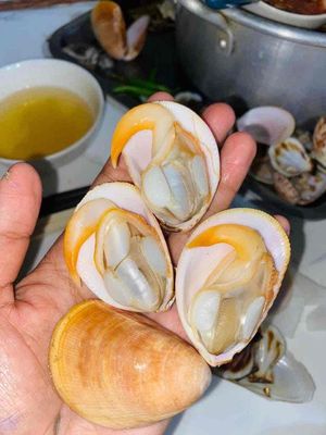 Sò Dương Láng và một số hải sản khác