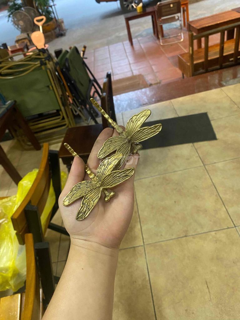 Đồ trang trí Đồng Chuồn chuồn. Mua bán Cây cảnh, đồ trang trí tại Quận Hà Đông Hà Nội được đăng bởi Nhientrinh hình 1