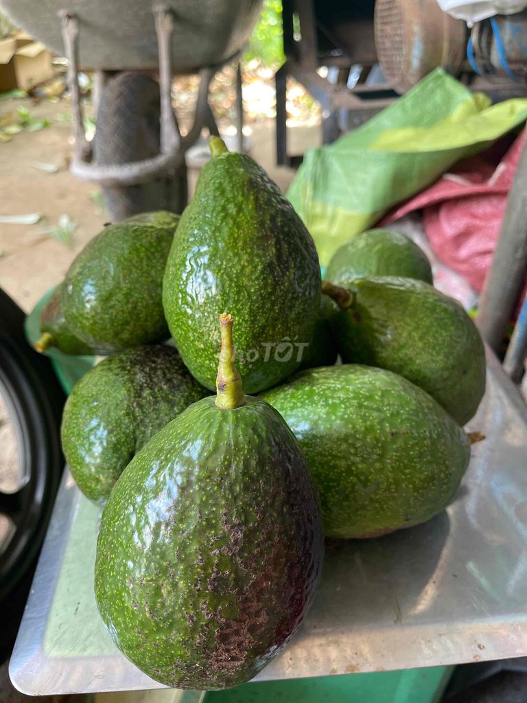 Bơ sáp nhà trồng sạch. Mua bán Đồ ăn, thực phẩm và các loại khác tại Huyện Châu Đức Bà Rịa - Vũng Tàu được đăng bởi Hoàng hình 1