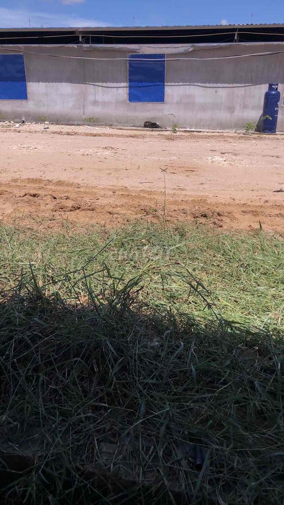 xe nha dang chay ko su dung ban. Mua bán Ô tô tại Huyện Thống Nhất Đồng Nai được đăng bởi Tuấn Tú hình 6