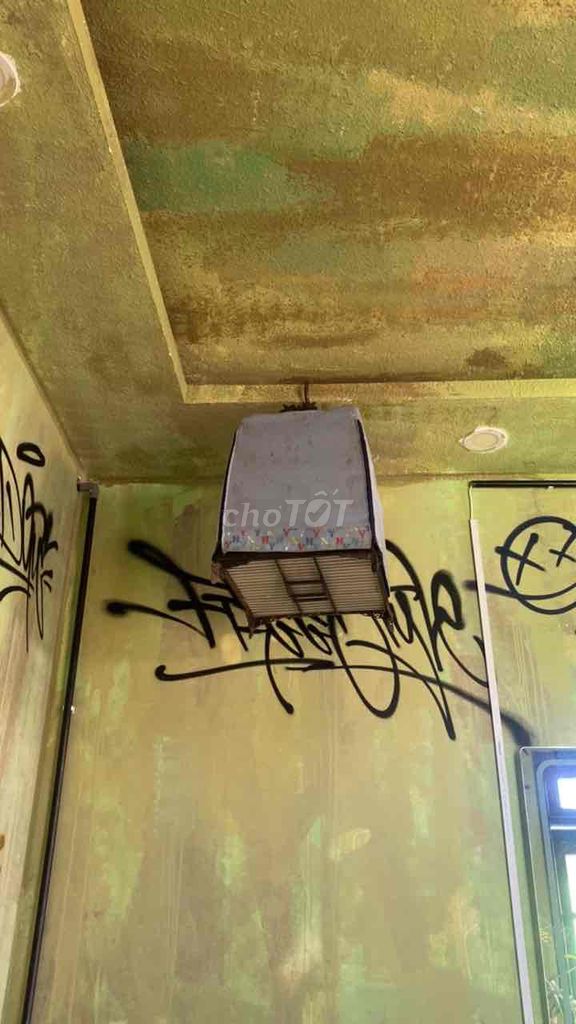 Chim chào mào giọng hay. Mua bán Chim tại Thành phố Đà Lạt Lâm Đồng được đăng bởi Nguyễn Anh Vũ hình 1