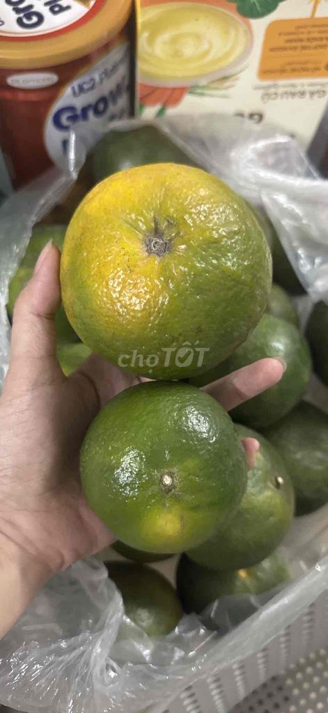Cam Sành. Mua bán Đồ ăn, thực phẩm và các loại khác tại Quận Phú Nhuận Tp Hồ Chí Minh được đăng bởi Ntmt hình 1