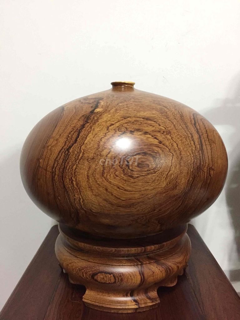 Giao lưu bình Cẩm. Mua bán Cây cảnh, đồ trang trí tại Quận Tân Bình Tp Hồ Chí Minh được đăng bởi Nguyễn Văn Tình  hình 1