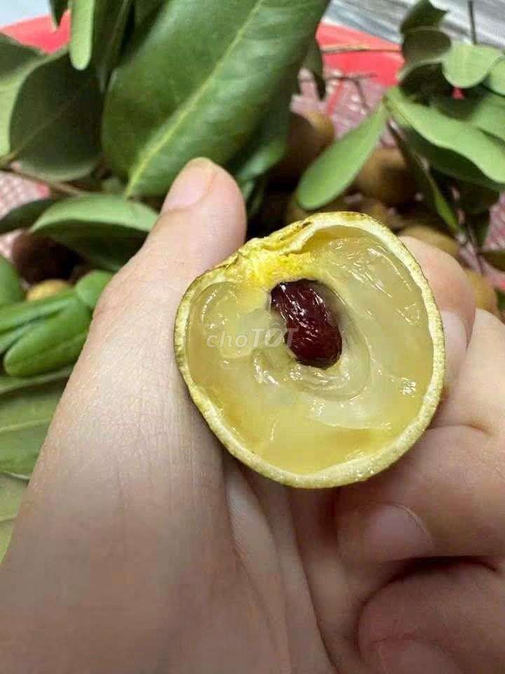 Nhãn tiêu xuồng miền tây . Mua bán Đồ ăn, thực phẩm và các loại khác tại Quận 7 Tp Hồ Chí Minh được đăng bởi Phượng hình 1