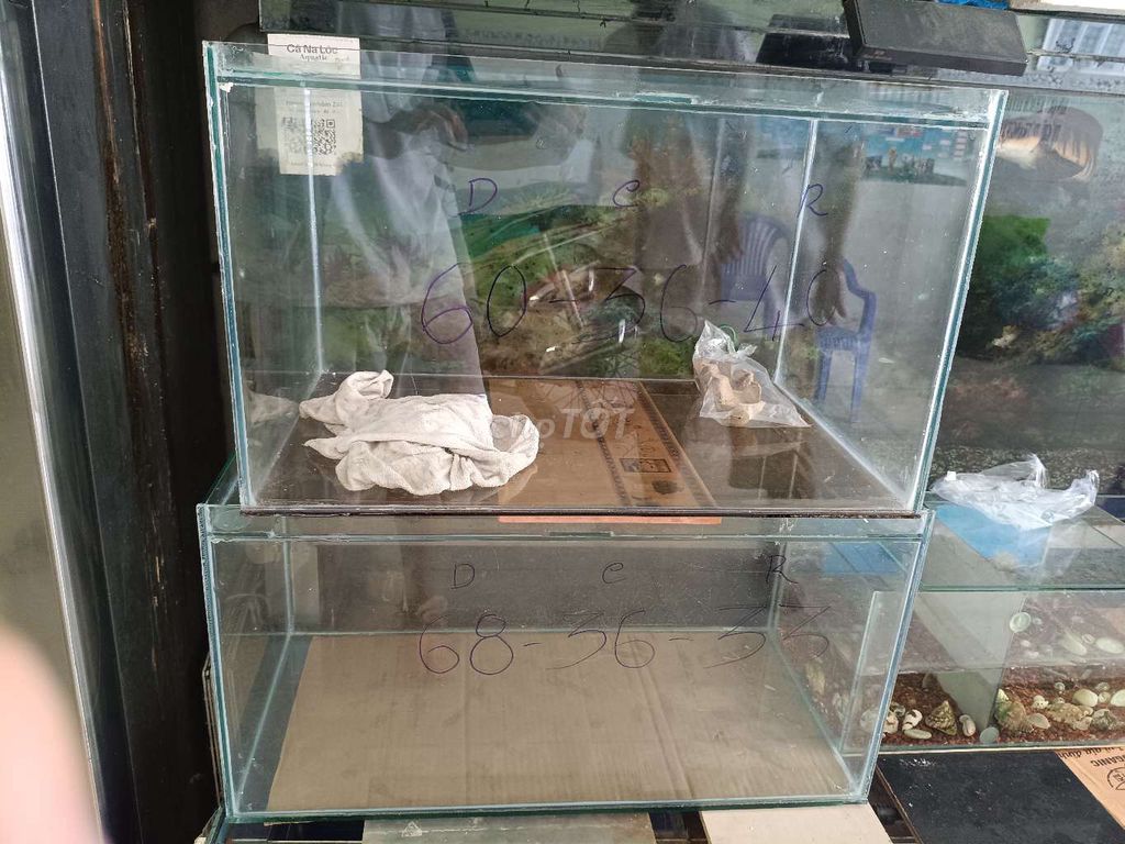 Hồ kính 60x36x40 cm. Mua bán Phụ kiện, Thức ăn, Dịch vụ tại Quận Ninh Kiều Cần Thơ được đăng bởi Hoàng hình 1