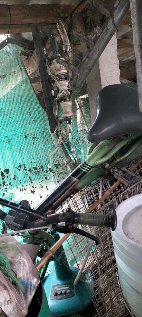 Xe đạp trẻ em. Mua bán Xe đạp tại Huyện Châu Thành Long An được đăng bởi Guitar  hình 2