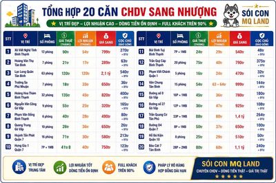 Tổng hợp 20 Căn nhà CHDV LN tốt toàn TP.HCM