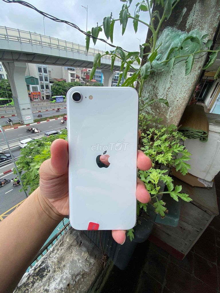 Apple iPhone SE 2020 Quốc tế. Mua bán Điện thoại tại Quận Hai Bà Trưng Hà Nội được đăng bởi Bùi Tuy MobileLaptop hình 1