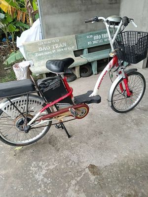 Cần bán hai xe đạp điện. Mua bán Xe điện tại Huyện Châu Thành Bến Tre được đăng bởi linh