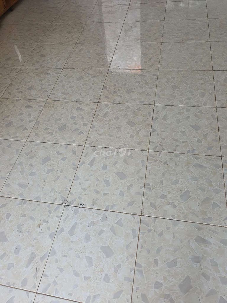 Cho thuê - Nhathuelx.site. Du lịch tại Thành phố Long Xuyên An Giang được đăng bởi Thanh Nhã hình 2