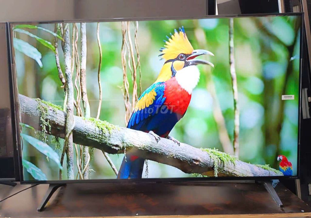 📺 THANH LÝ LG 50 NANO75 4K GIỌNG NÓI, CHUỘT BAY 📺. Mua bán Tivi, Âm thanh tại Quận Cẩm Lệ Đà Nẵng được đăng bởi Nguyễn Thị Ngọc hình 1