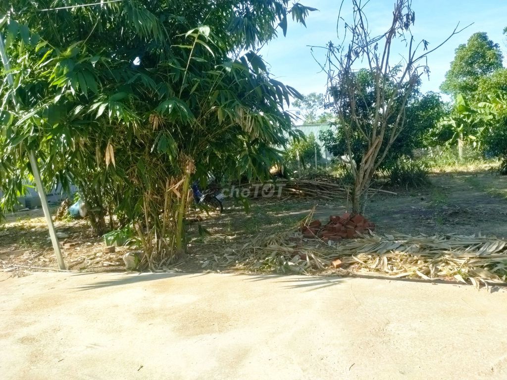 Chính chủ cần bán lô 126m2 đất ở Phú Sơn 1, Hòa Khương