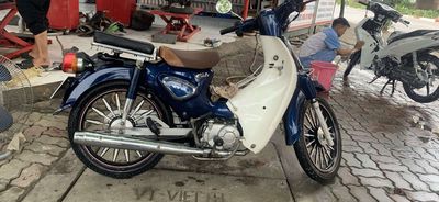 Cub Ally New 50 2019 Xanh Trắng