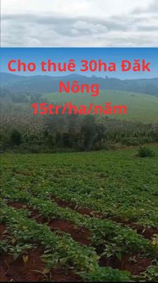 Cho thuê 30 hecta đất Tuy Đức Đăk Nông. Cho thuê đất tại Huyện Tuy Đức Đắk Nông được đăng bởi Nhadatdaklak