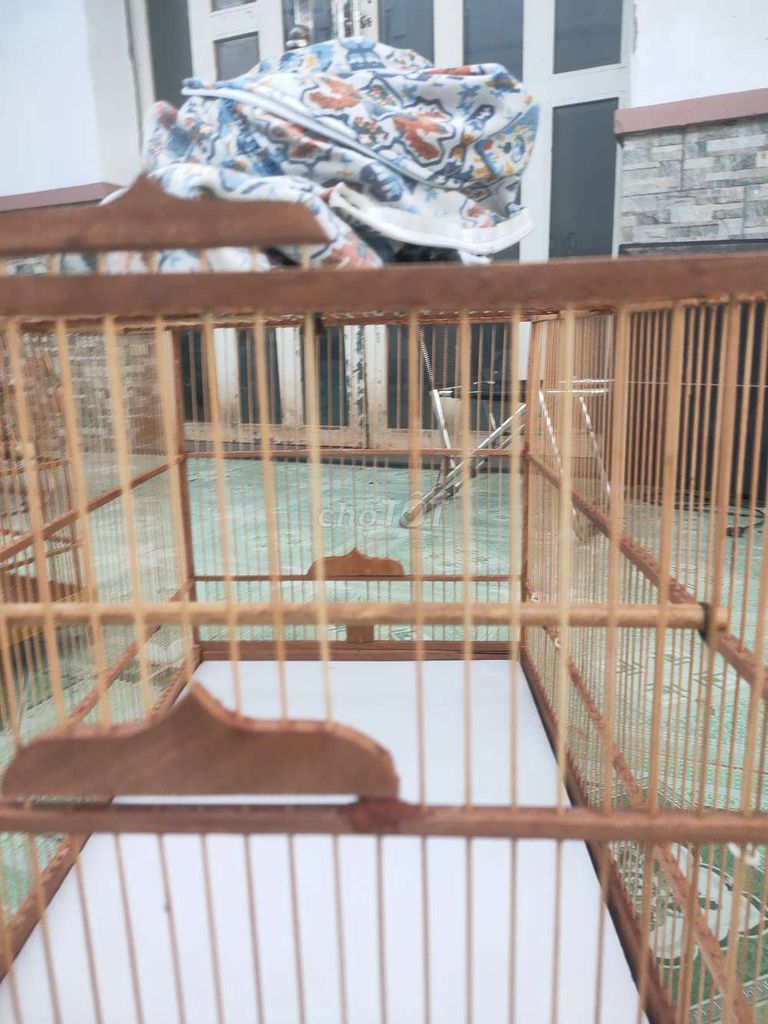 thanh lý lồng chim chào mào. Mua bán Phụ kiện, Thức ăn, Dịch vụ tại Huyện Châu Đức Bà Rịa - Vũng Tàu được đăng bởi Huỳnh Vũ hình 1