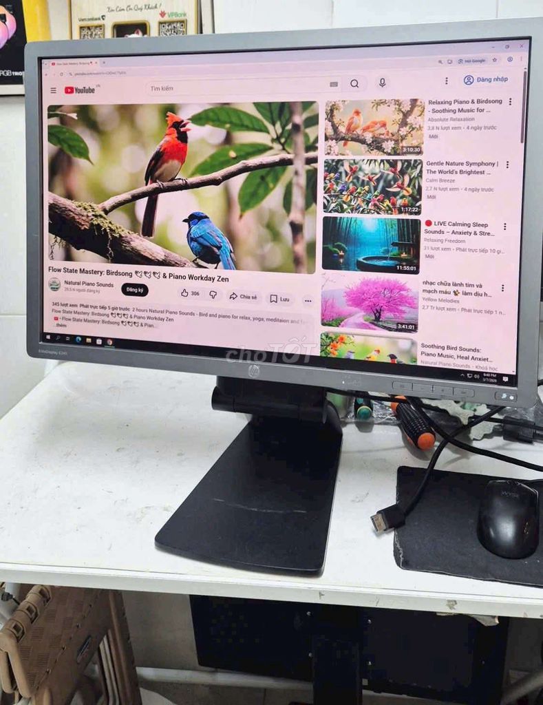 Màn hình HP E241i 24 inch IPS. Mua bán Phụ kiện (Màn hình, Chuột...) tại Quận 10 Tp Hồ Chí Minh được đăng bởi Trinh Cẩm hình 1