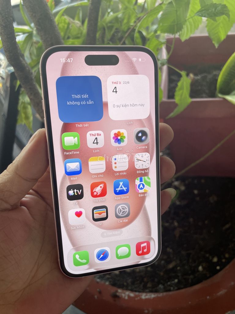 iPhone 15 128GB  Mới pin 92 quốc tế mỹ zin hết nha. Mua bán Điện thoại tại Quận Bình Thạnh Tp Hồ Chí Minh được đăng bởi Triệu VY hình 1