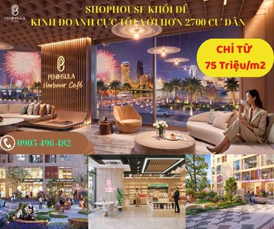Nhà phố thương mại kinh doah,cho thuê cực tốt ngay đường Trần Hưng Đạo